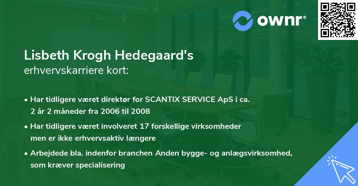Lisbeth Krogh Hedegaard's erhvervskarriere kort