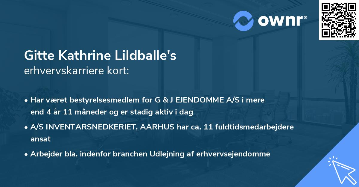 Gitte Kathrine Lildballe's erhvervskarriere kort