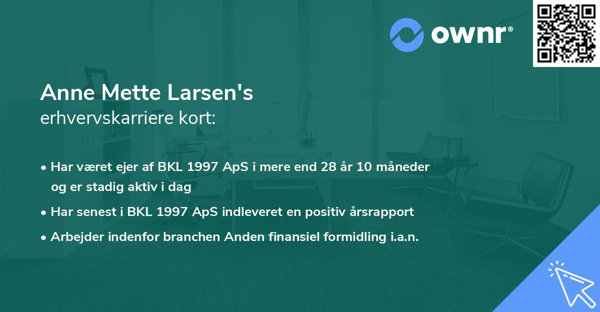 Anne Mette Larsen's erhvervskarriere kort