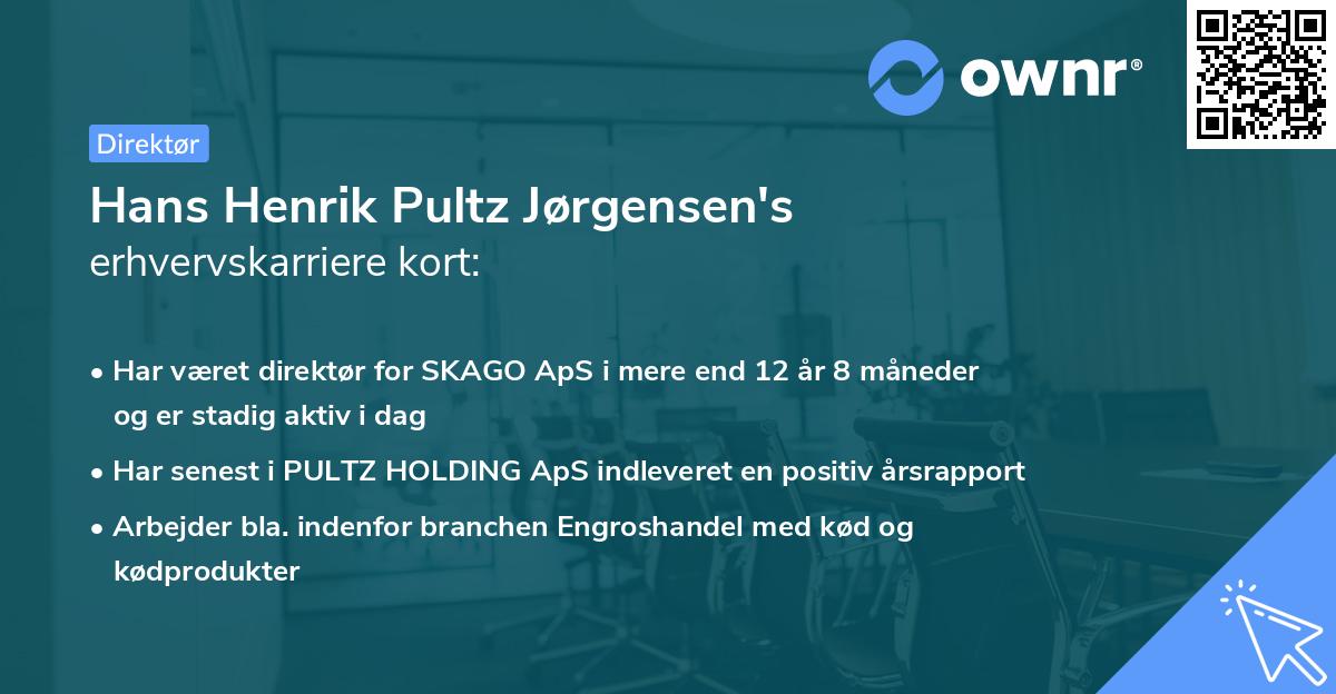 Hans Henrik Pultz Jørgensen's erhvervskarriere kort