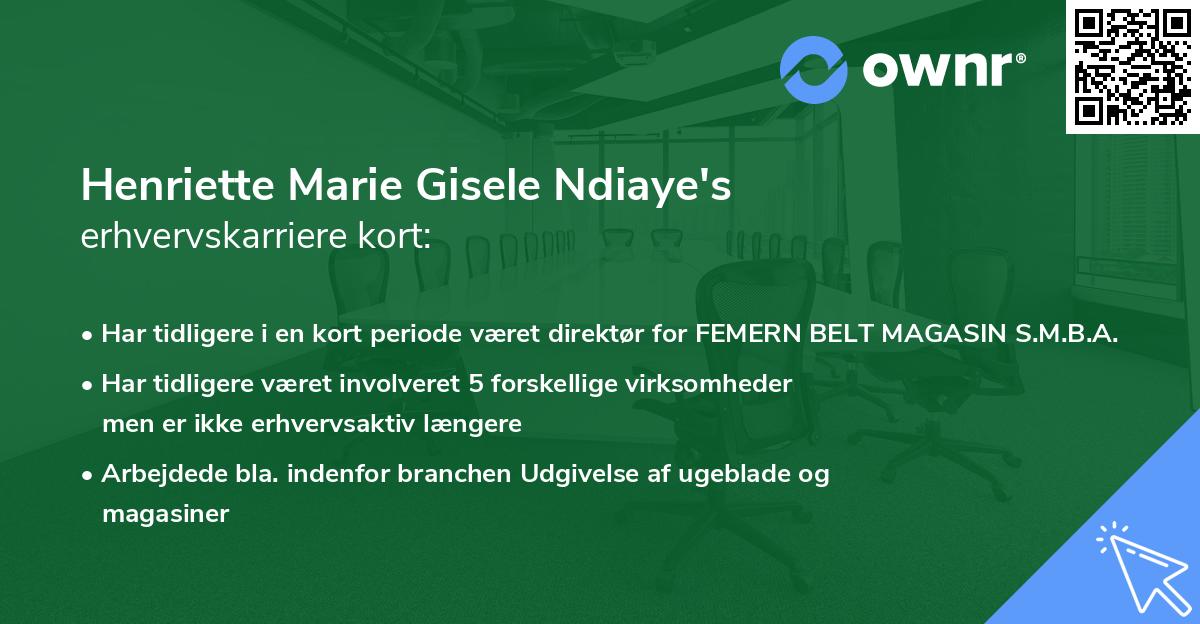 Henriette Marie Gisele Ndiaye's erhvervskarriere kort