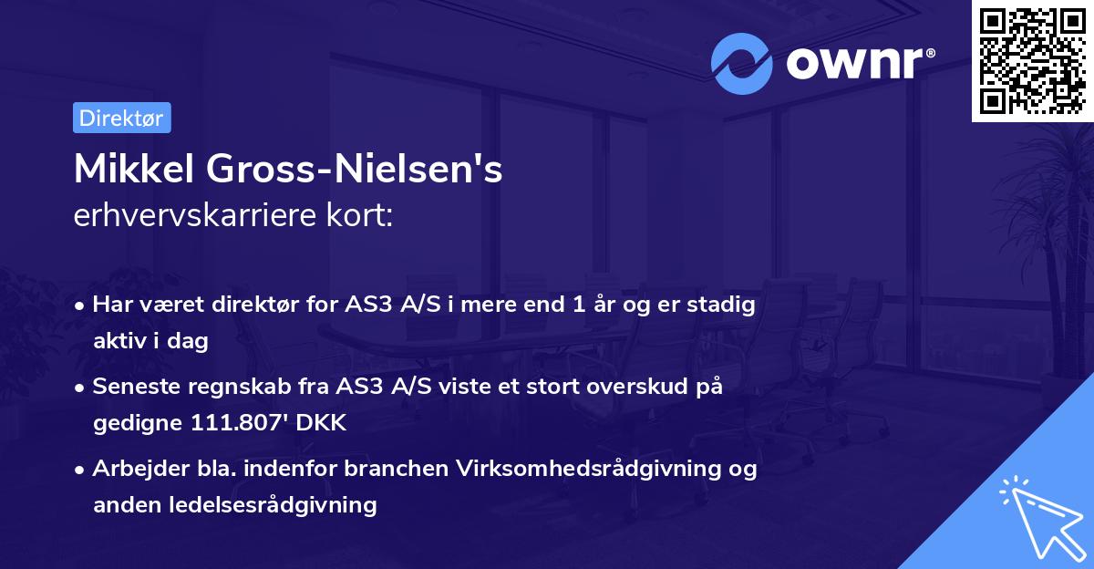 Mikkel Gross-Nielsen's erhvervskarriere kort