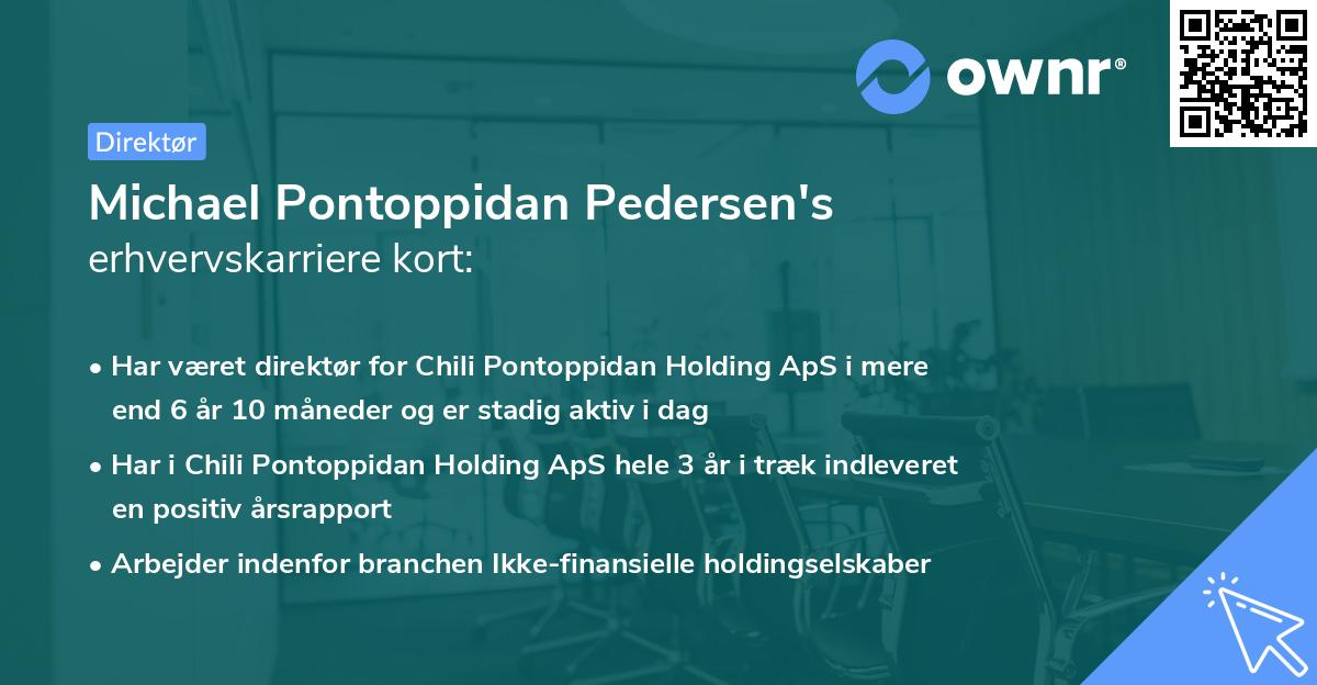 Michael Pontoppidan Pedersen's erhvervskarriere kort