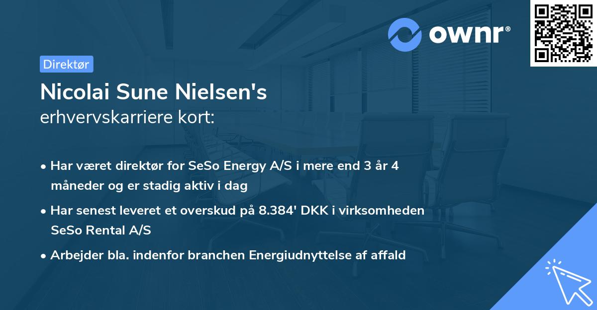 Nicolai Sune Nielsen's erhvervskarriere kort