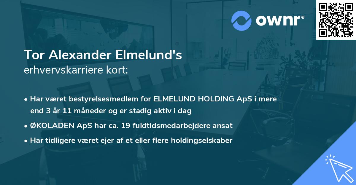 Tor Alexander Elmelund's erhvervskarriere kort