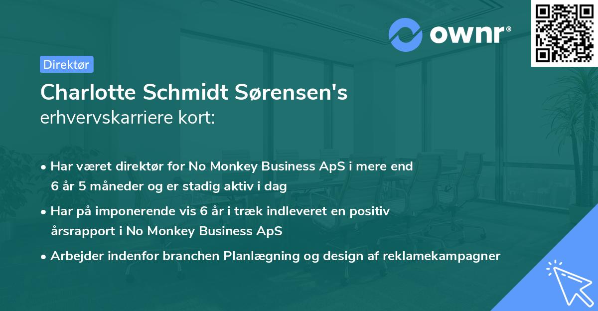 Charlotte Schmidt Sørensen's erhvervskarriere kort