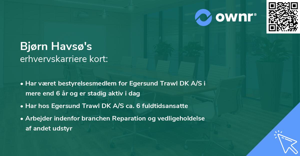 Bjørn Havsø's erhvervskarriere kort