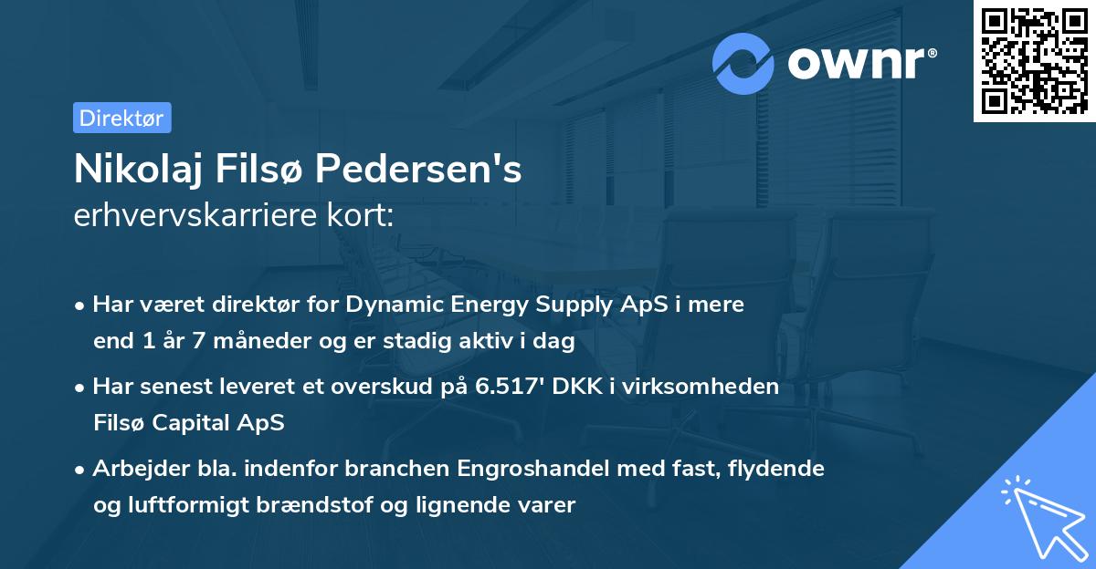 Nikolaj Filsø Pedersen's erhvervskarriere kort