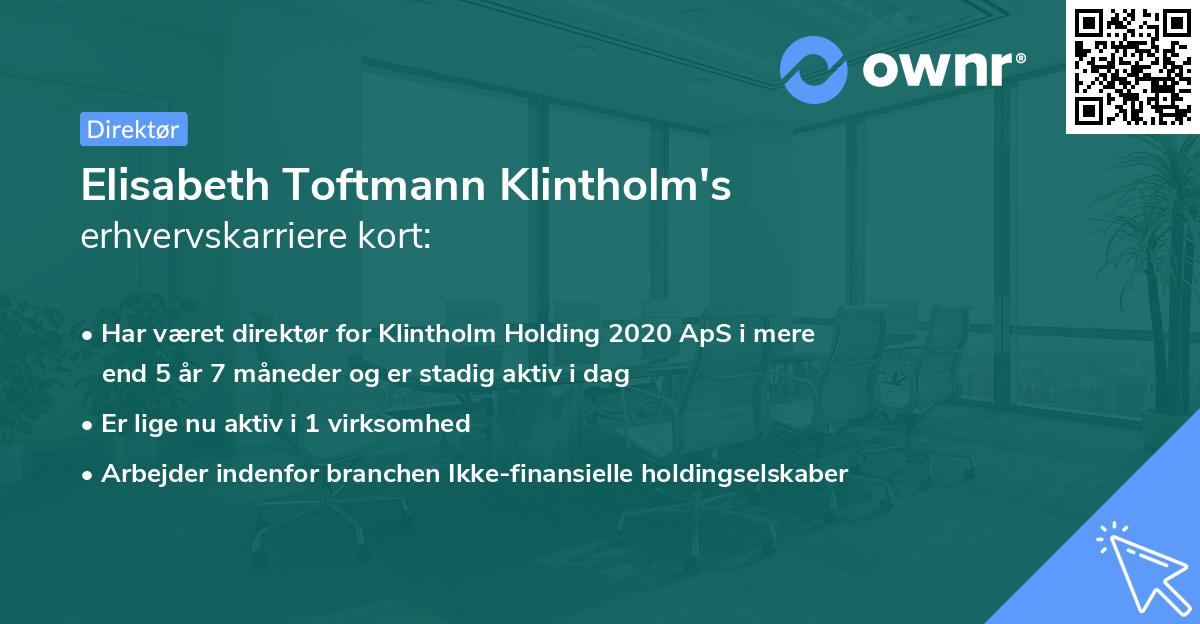 Elisabeth Toftmann Klintholm's erhvervskarriere kort