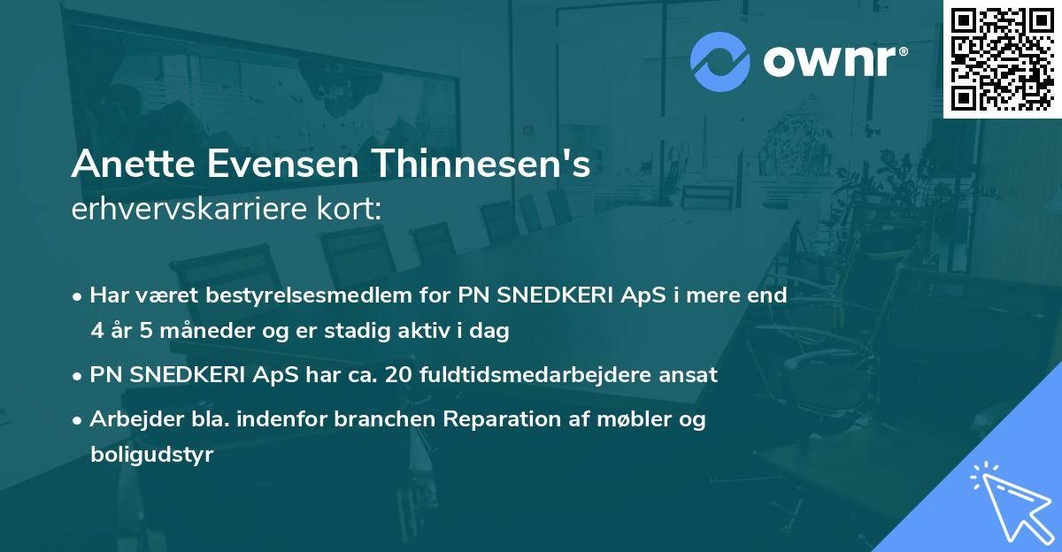 Anette Evensen Thinnesen's erhvervskarriere kort