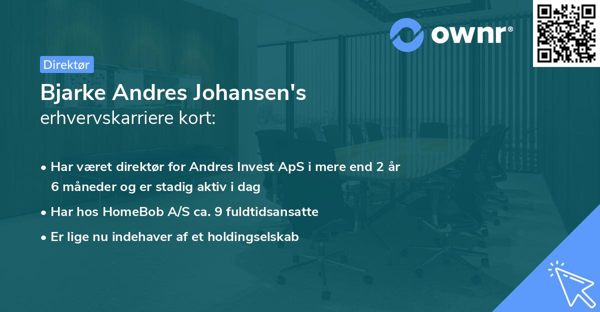 Bjarke Andres Johansen's erhvervskarriere kort