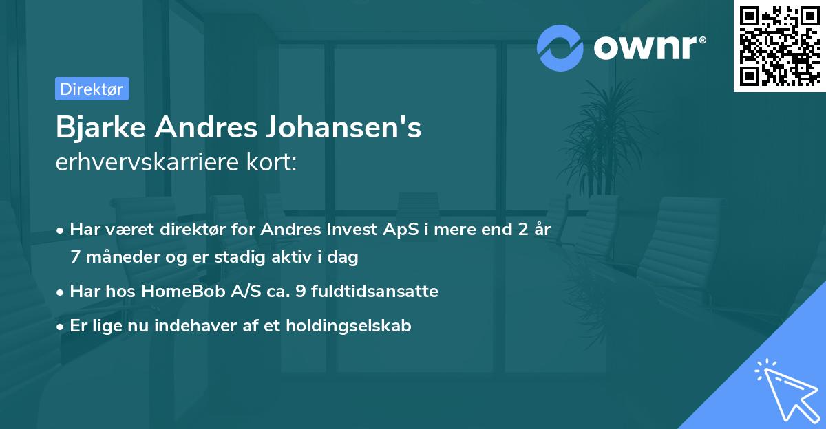 Bjarke Andres Johansen's erhvervskarriere kort