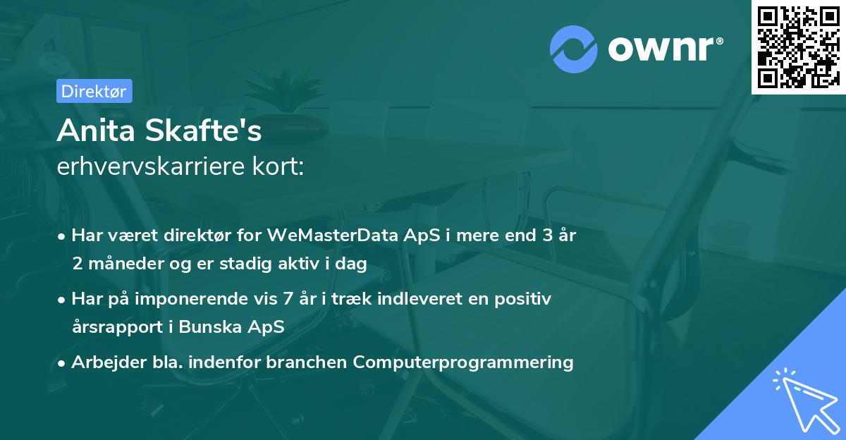 Anita Skafte's erhvervskarriere kort