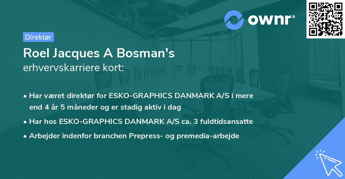 Roel Jacques A Bosman's erhvervskarriere kort