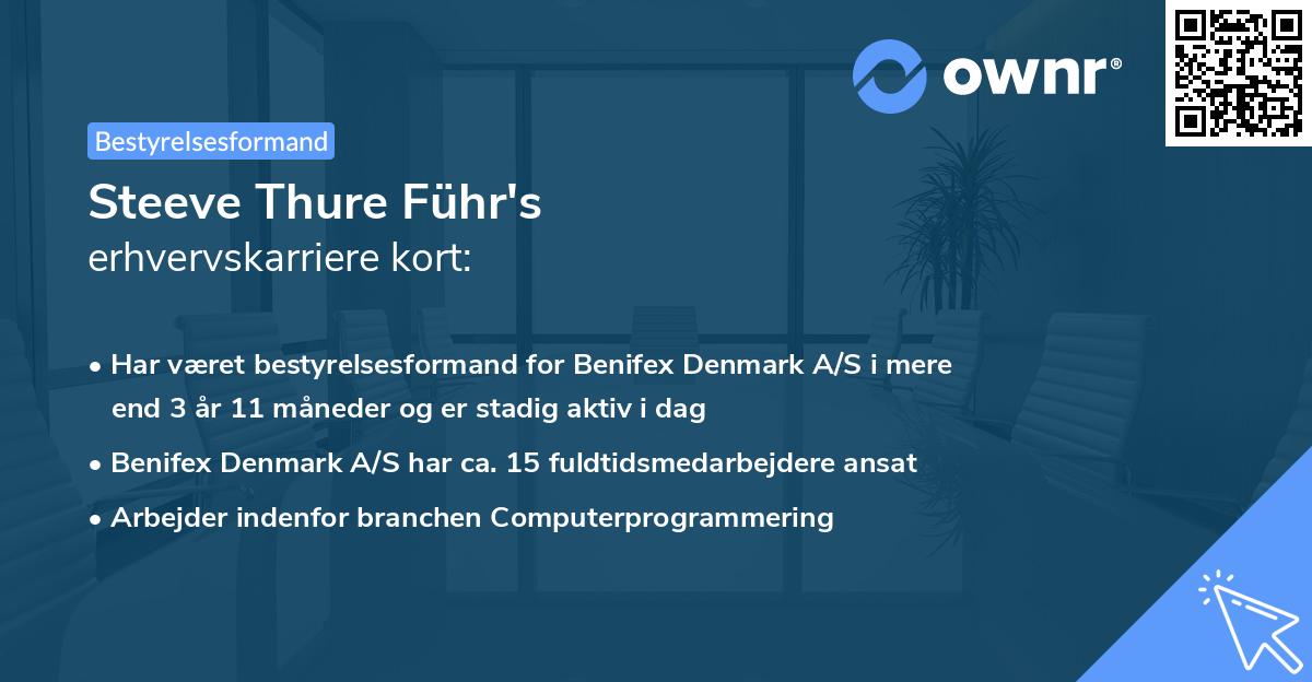 Steeve Thure Führ's erhvervskarriere kort