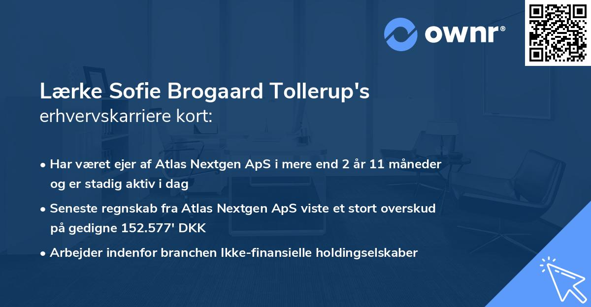 Lærke Sofie Brogaard Tollerup's erhvervskarriere kort