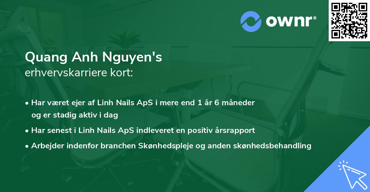 Quang Anh Nguyen's erhvervskarriere kort