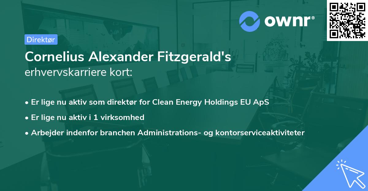 Cornelius Alexander Fitzgerald's erhvervskarriere kort