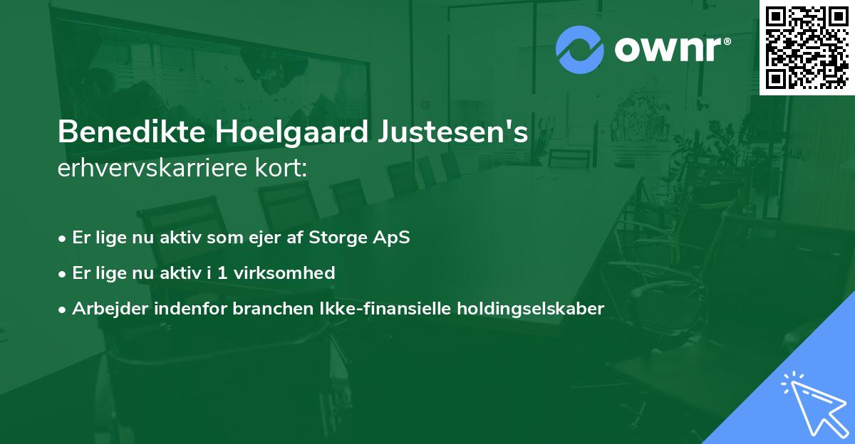Benedikte Hoelgaard Justesen's erhvervskarriere kort