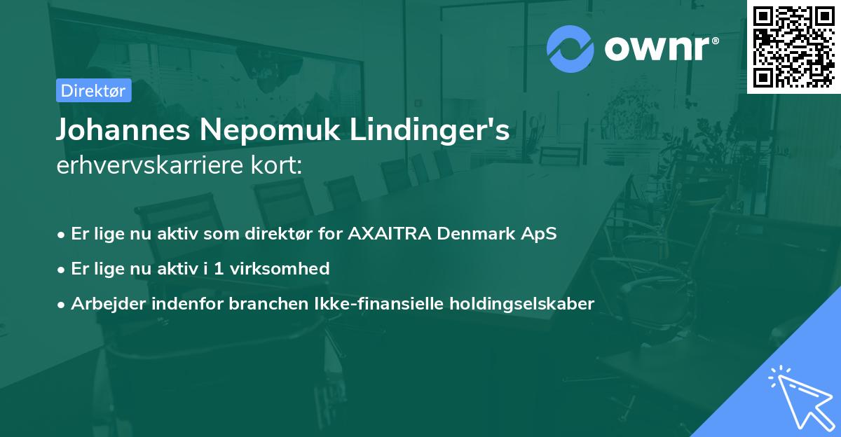 Johannes Nepomuk Lindinger's erhvervskarriere kort