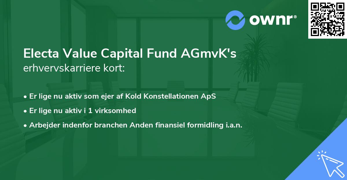 Electa Value Capital Fund AGmvK's erhvervskarriere kort