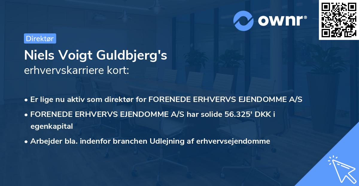 Niels Voigt Guldbjerg's erhvervskarriere kort