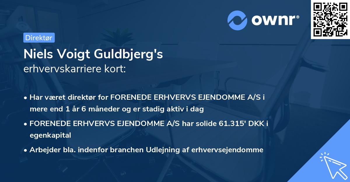 Niels Voigt Guldbjerg's erhvervskarriere kort