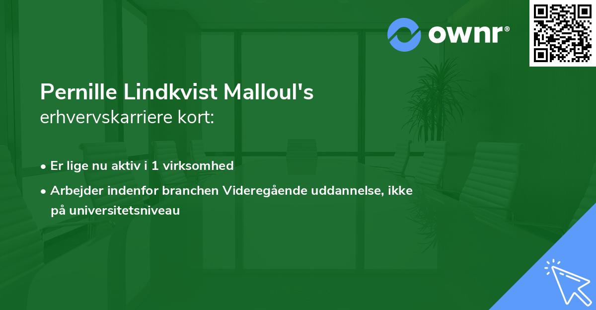 Pernille Lindkvist Malloul's erhvervskarriere kort