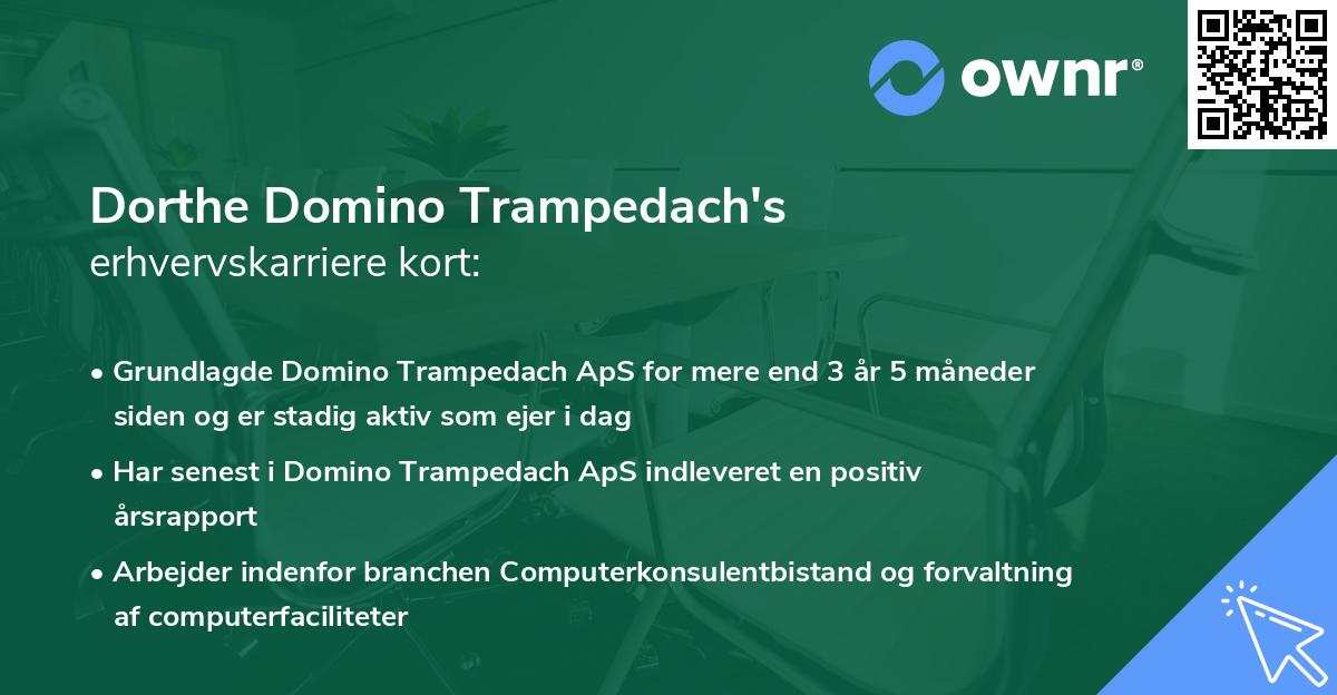 Dorthe Domino Trampedach's erhvervskarriere kort