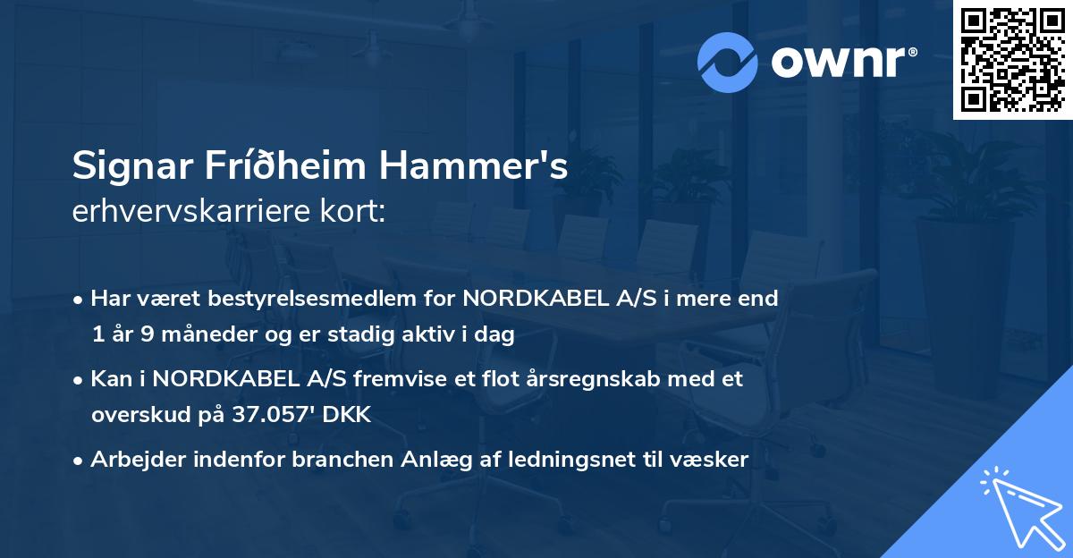 Signar Fríðheim Hammer's erhvervskarriere kort