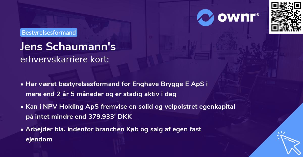 Jens Schaumann's erhvervskarriere kort