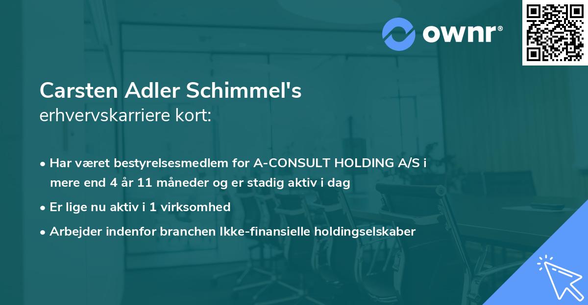 Carsten Adler Schimmel's erhvervskarriere kort
