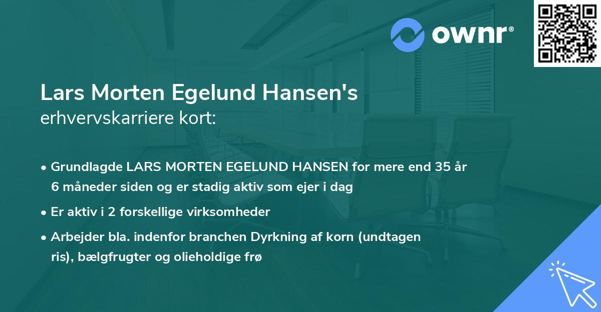 Lars Morten Egelund Hansen's erhvervskarriere kort