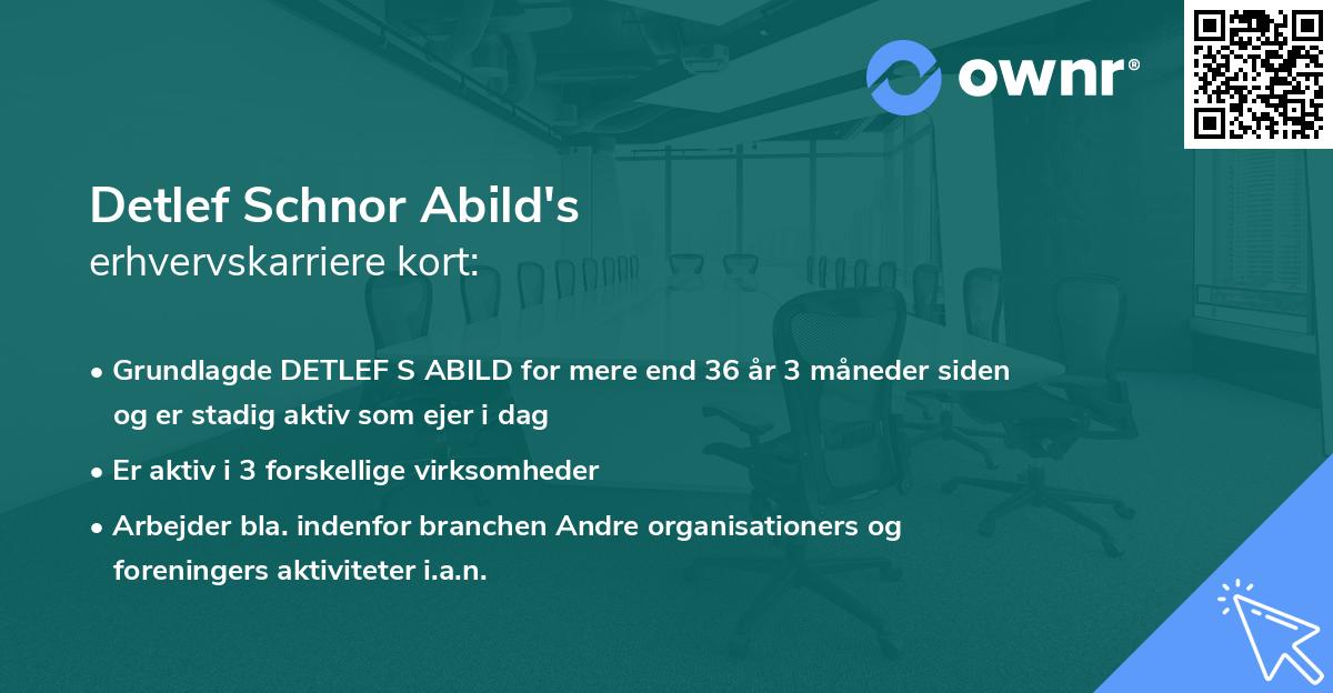 Detlef Schnor Abild's erhvervskarriere kort