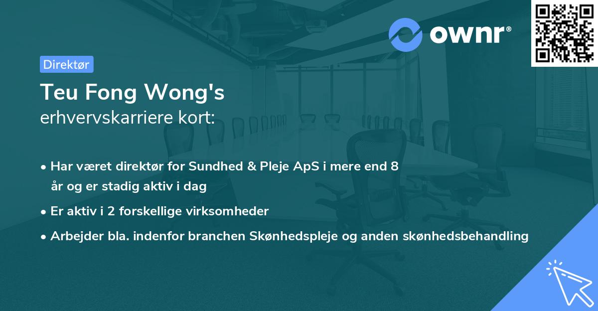 Teu Fong Wong's erhvervskarriere kort