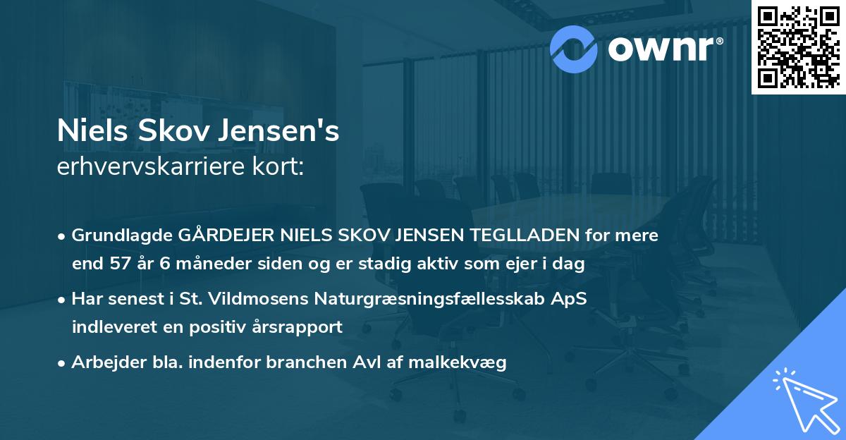 Niels Skov Jensen's erhvervskarriere kort