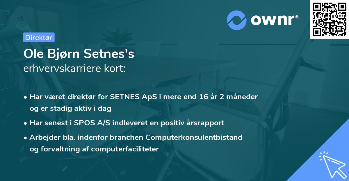 Ole Bjørn Setnes's erhvervskarriere kort