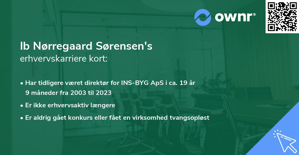 Ib Nørregaard Sørensen's erhvervskarriere kort