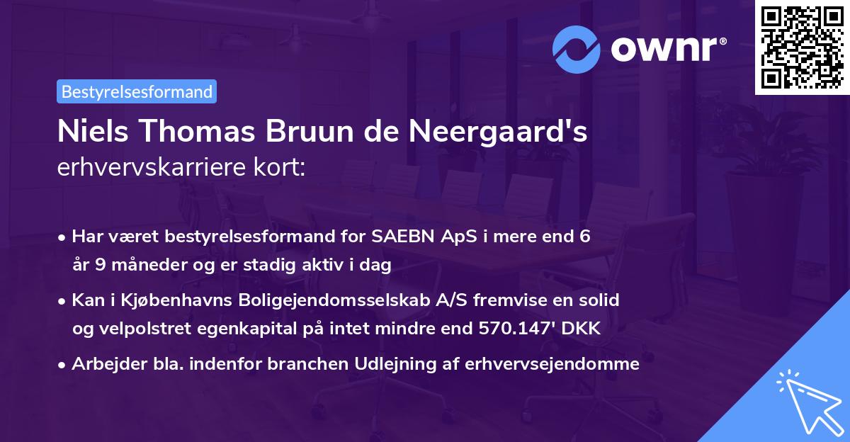 Niels Thomas Bruun de Neergaard's erhvervskarriere kort