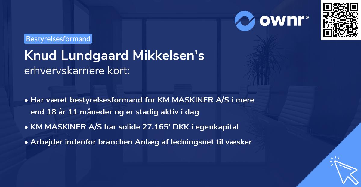 Knud Lundgaard Mikkelsen's erhvervskarriere kort