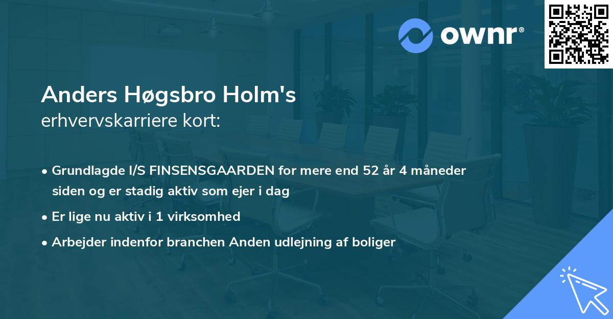 Anders Høgsbro Holm's erhvervskarriere kort
