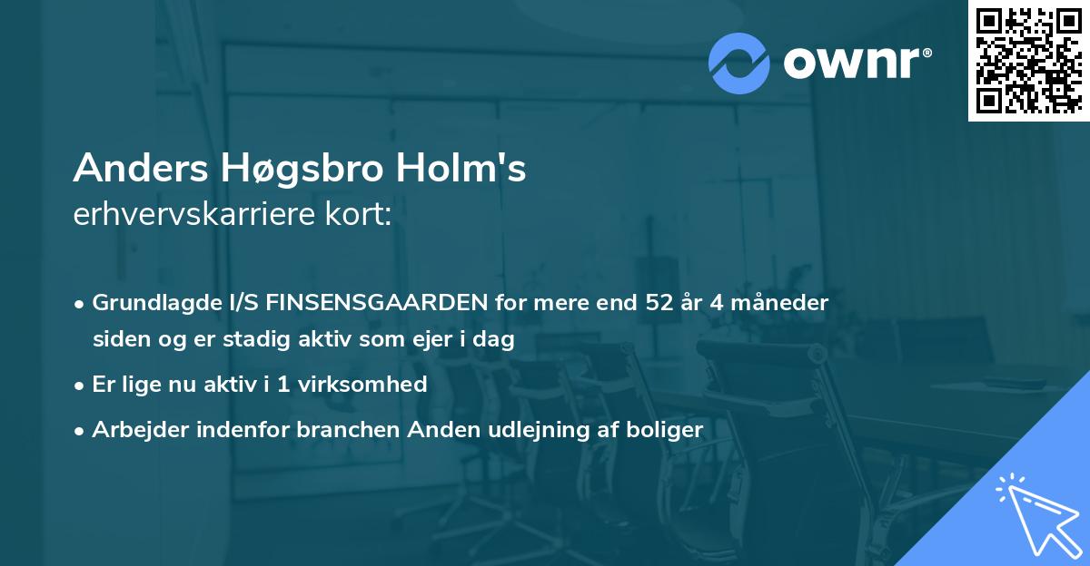 Anders Høgsbro Holm's erhvervskarriere kort