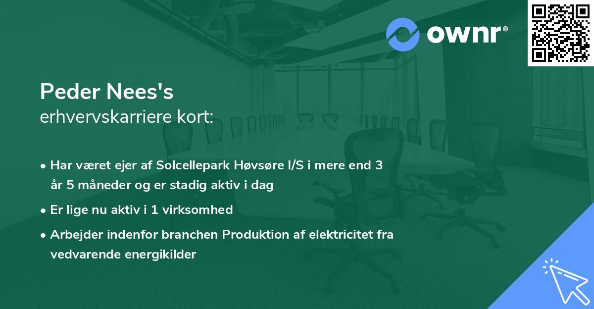 Peder Nees's erhvervskarriere kort