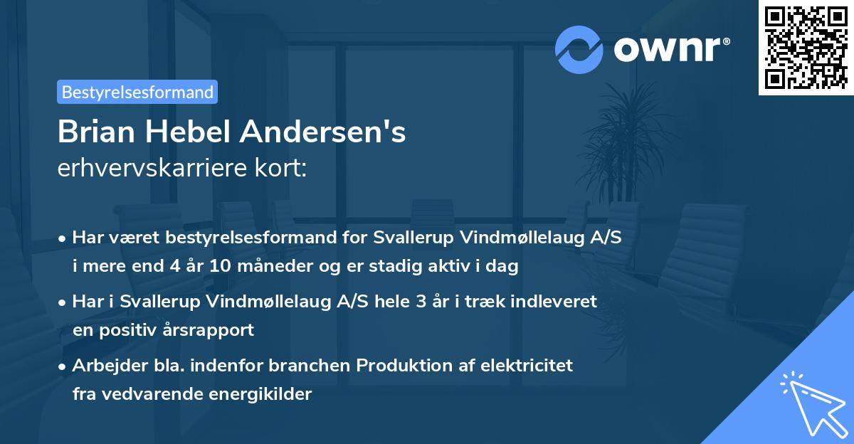 Brian Hebel Andersen's erhvervskarriere kort