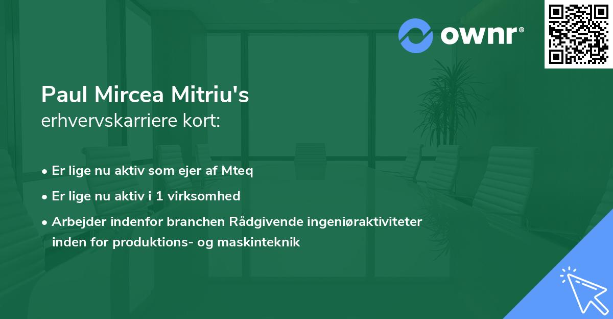 Paul Mircea Mitriu's erhvervskarriere kort