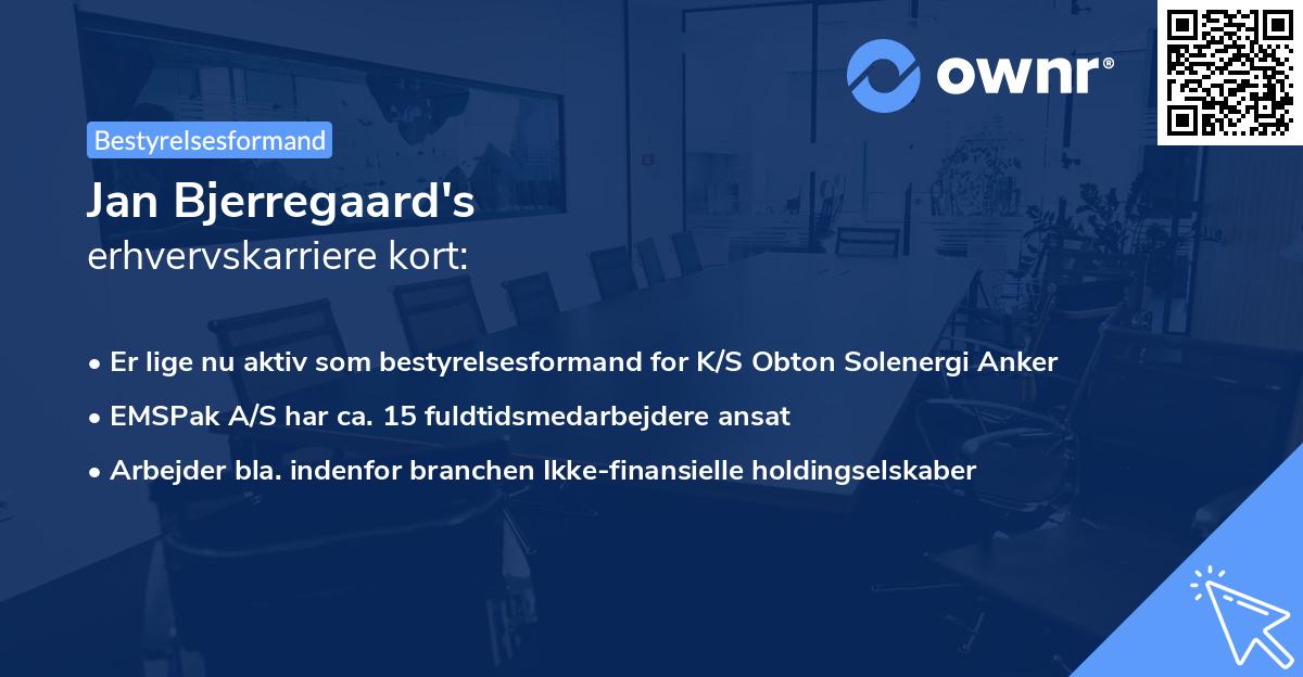 Jan Bjerregaard's erhvervskarriere kort