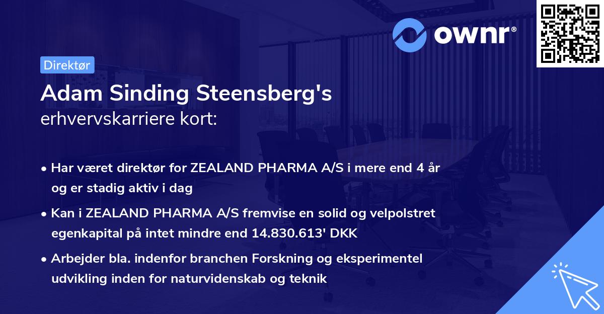 Adam Sinding Steensberg's erhvervskarriere kort