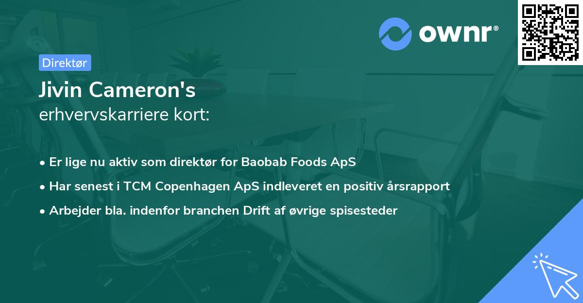 Jivin Cameron's erhvervskarriere kort