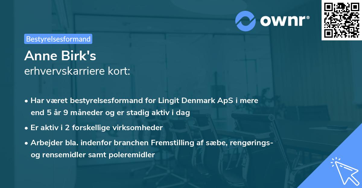 Anne Birk's erhvervskarriere kort