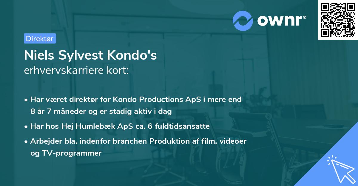 Niels Sylvest Kondo's erhvervskarriere kort